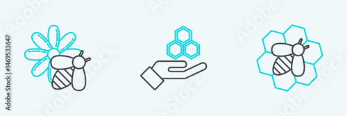 Set line Bee and honeycomb, flower and Honeycomb hand icon. Vector