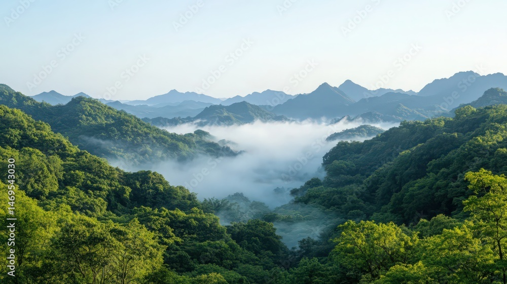 Lush Green Mountain Range Landscape Aerial View with Low Lying Fog in the Valley During Daytime Showcasing a Serene and Picturesque Scene Lush Green Mountain Range Landscape Aerial View with Low Lying Fog in the Valley During Daytime Showcasing a Serene and Picturesque Scene