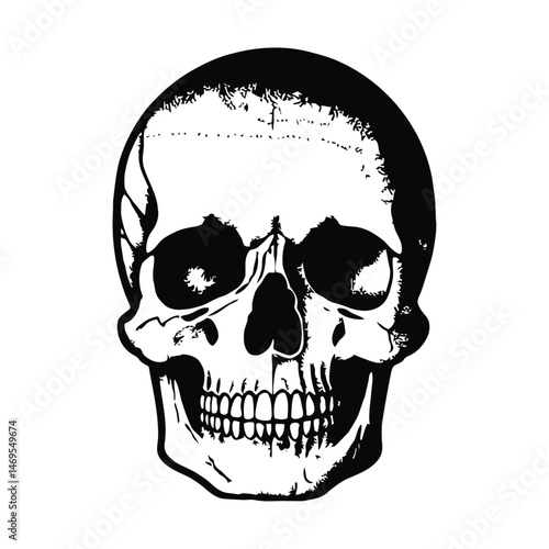 skull and crossbones vector illustration of a human skull symbol in black and white