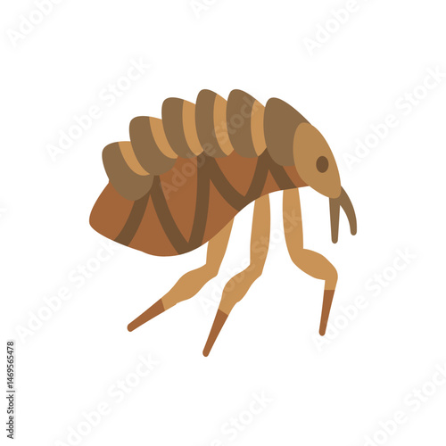 Illustration of a brown flea with segmented body and six legs on a white background in vector format