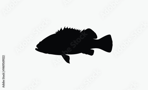 seabass fish silhouette, bold fish profile, spiked fin outline, marine fish shape, black white seabass, ocean fish vector