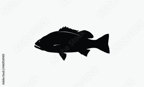 seabass fish silhouette, bold fish profile, spiked fin outline, marine fish shape, black white seabass, ocean fish vector