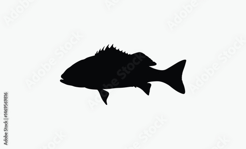seabass fish silhouette, bold fish profile, spiked fin outline, marine fish shape, black white seabass, ocean fish vector