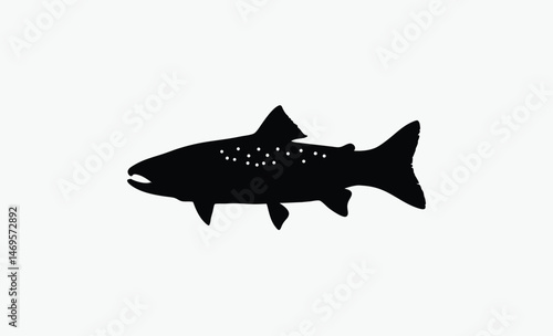 salmon trout silhouette, freshwater fish vector, bold fish outline, aquatic species shape, black white trout, clean fish profile, side view illustration