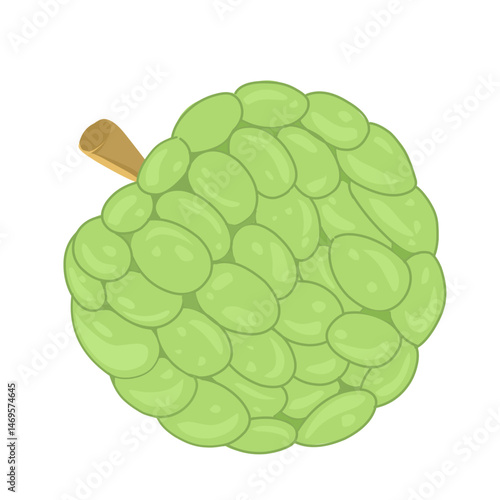 Srikaya Indonesian Fruit Illustration