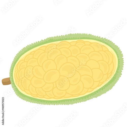Cempedak Indonesian Fruit Illustration
