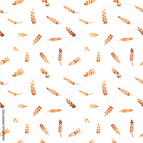 Еars of wheat on a white background