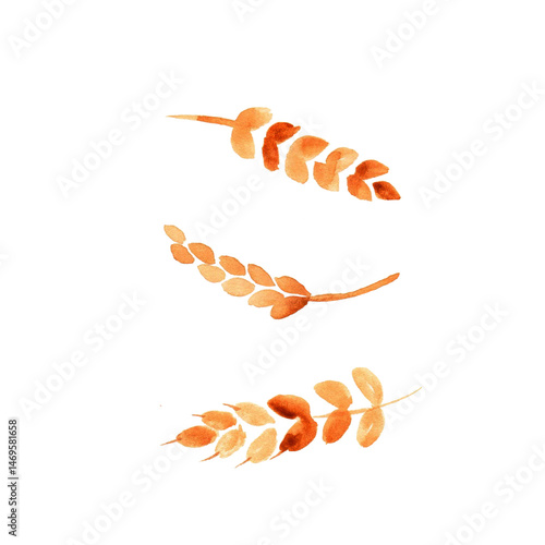 Watercolor spikelets of rye product vector illustration. Painted isolated natural organic fresh eco food on white background