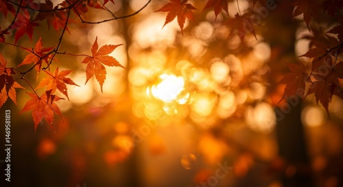 Enchanting Autumn Sunset: Golden Hour Glow Illuminates Vibrant Maple Leaves in a Serene Forest. High quality professional stock photo suitable for commercial use.