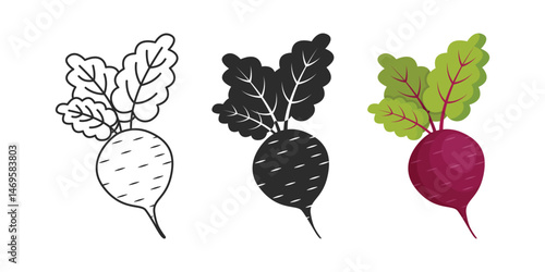Beetroot vegetable with leaves icon set collection in flat style. Beet plant vector illustration on isolated background. Healthy food sign business concept.