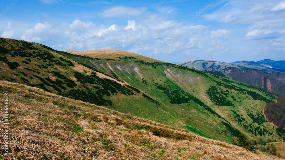 Naklejka premium Wielka Fatra, Słowacja