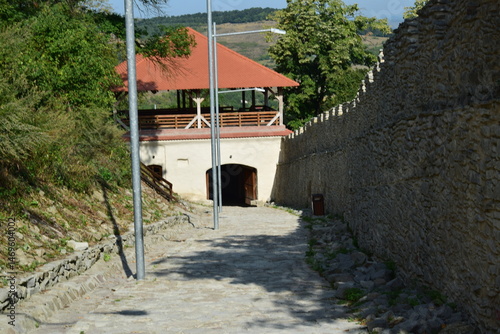 Podobny obraz