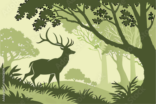 56 deer, deer standing in nature, deer with antlers, wildlife, nature, photorealistic, 8k