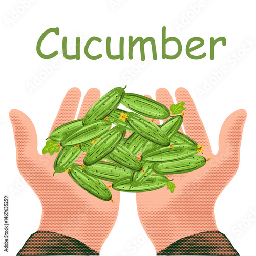 cucumber in hands, Halftone illustration of hands tenderly holding olives, black and white dotted texture, retro pop art style design isolated on white background, summer fruits concept. Vector
