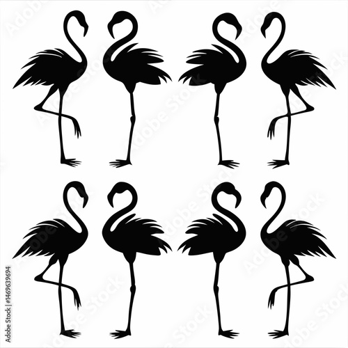 Flamingo silhouettes set, large pack of vector silhouette design