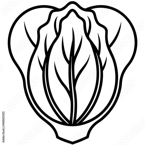 Bok Choy icon vector