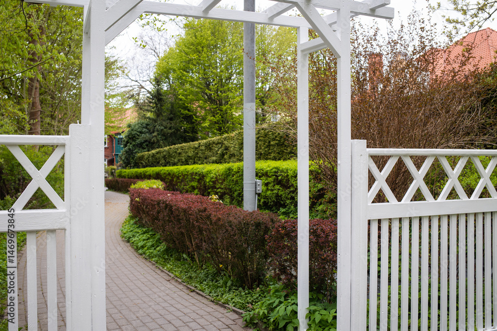 Fototapeta premium cascading shrubbery trimming in urban nature. landscape design. exit from summer park through pergola