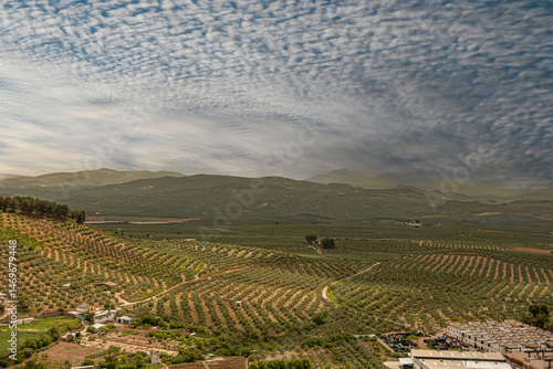 Landscape dotted with olive groves in the town of Alcaudete, Jaén, Andalusia, Spain