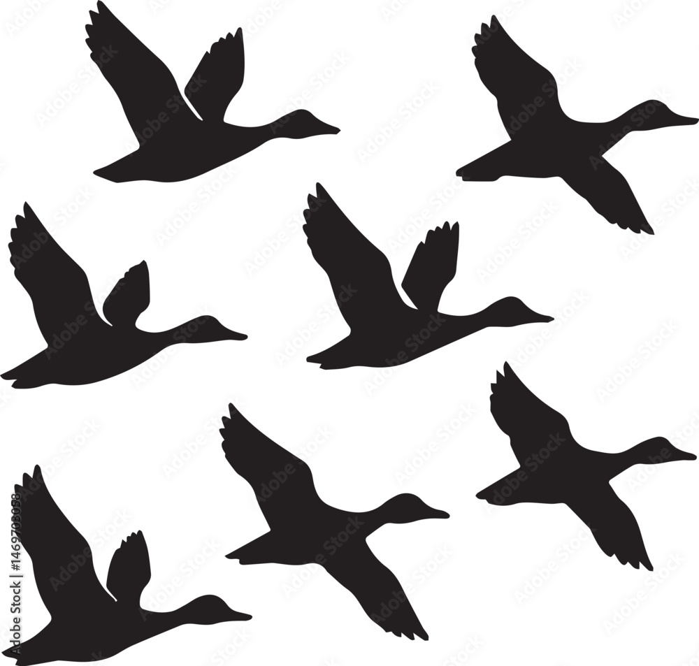 Fototapeta premium Ducks Flying Silhouette