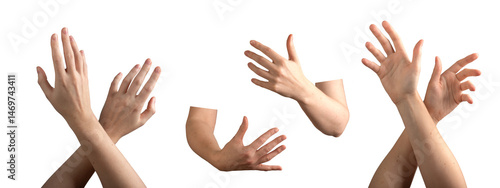 Wallpaper Mural Both hands crossing in a warm embrace, symbolizing love and care. Graceful gesture showing bond and Torontodigital.ca