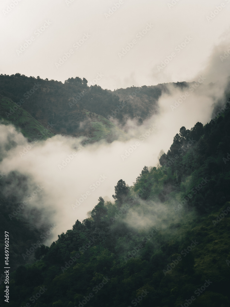 Fototapeta premium Misty Mountain Landscape with Dense Forest