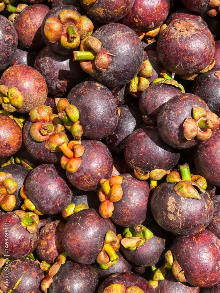 Fototapeta premium Pile of Fresh Purple Mangosteens on Market Display