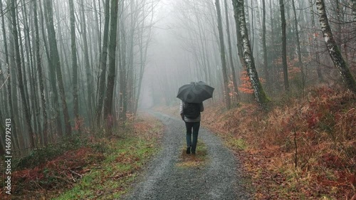 A man walking in a rainy, foggy forest with an umbrella. Following the walk in slow motion.