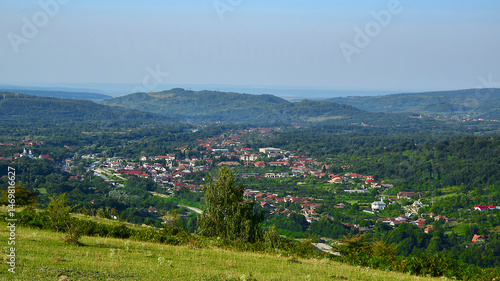 landscape with flowers