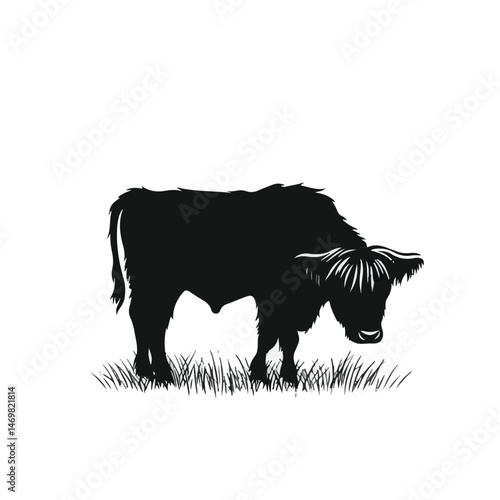 Monochrome Illustration Of Highland Cattle Grazing Silhouette Isolated On White