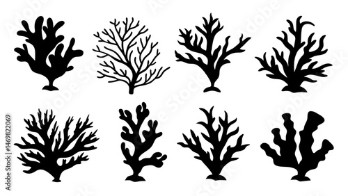 Seaweed silhouettes, coral black icon. Abstract organic shape, underwater plant, matisse element, cute sea doodle.