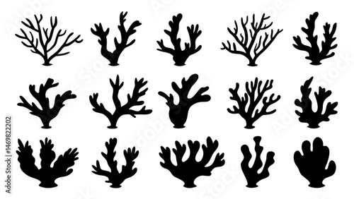 Seaweed silhouettes, coral black icon. Abstract organic shape, underwater plant, matisse element, cute sea doodle.