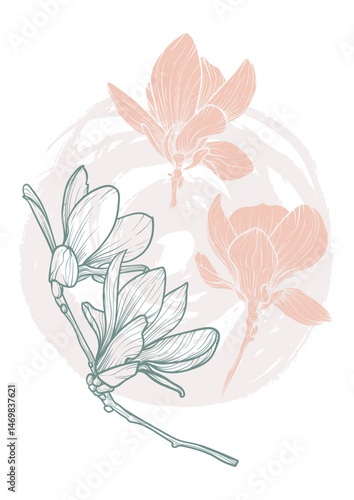A4, A3 magnolias line art vector hand drawn illustration. Art print with beige spring flowers and a sketch circle. Highly detailed and high quality graphic asset for online and print.