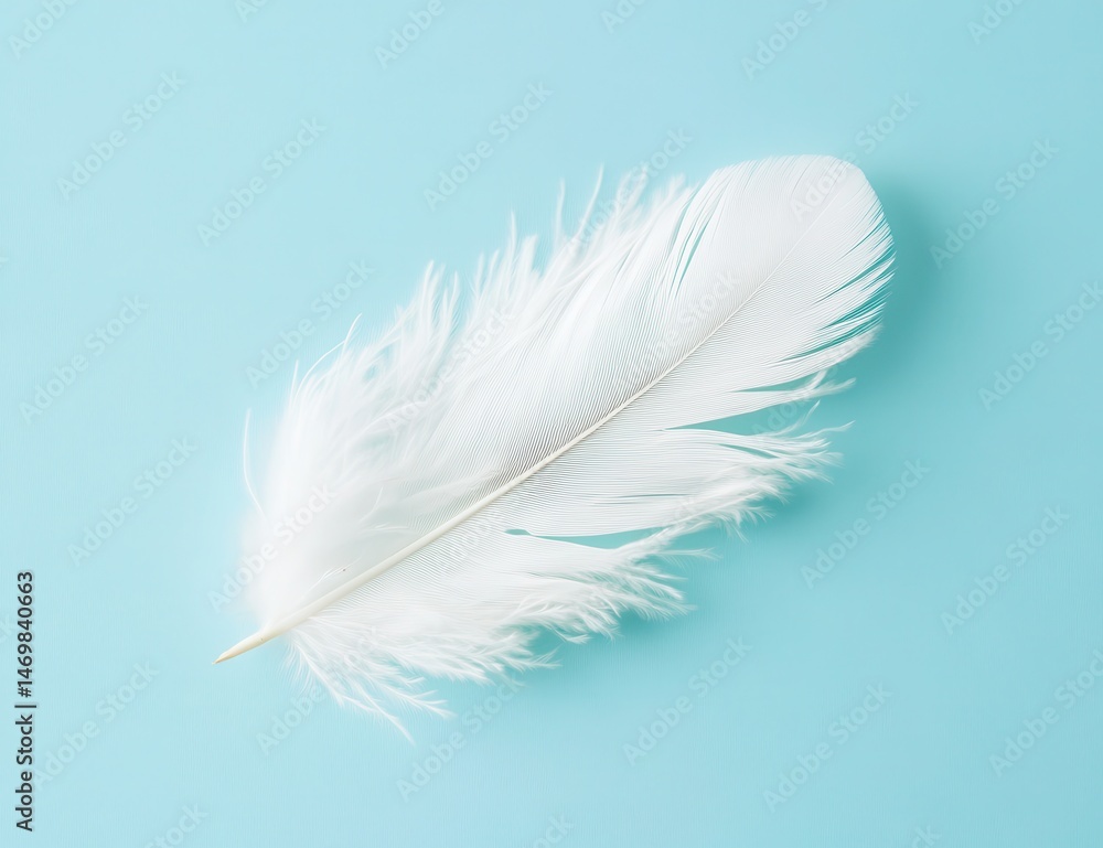 Obraz premium Soft white feather on a pastel blue background