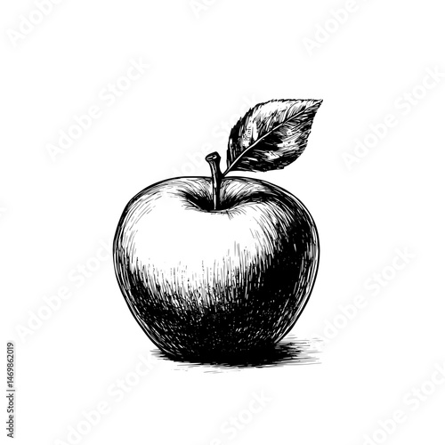 Realistic engraved apple illustration with leaf in vintage sketch style for organic and healthy food concepts