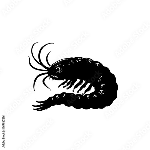 Monochromatic illustration depicting a stylized aquatic invertebrate organism