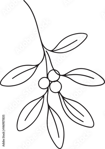 Mistletoe Line Drawing Vector Illustration