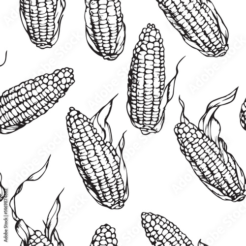 Seamless Vector Pattern Of Corn On The Cob Fresh Farm Produce Black And White Line Art Illustration