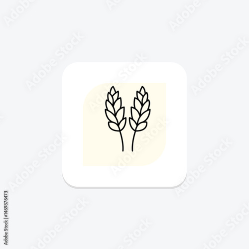 Paddy In Bloom, vector, pixel perfect, illustrator file