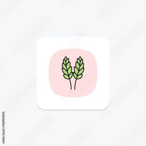 Paddy In Bloom, vector, pixel perfect, illustrator file