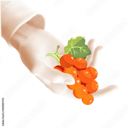 Grapes in hand, halftone illustration of hands tenderly holding olives, black and white dotted texture, retro pop art style design isolated on white background, summer fruits concept. Vector
