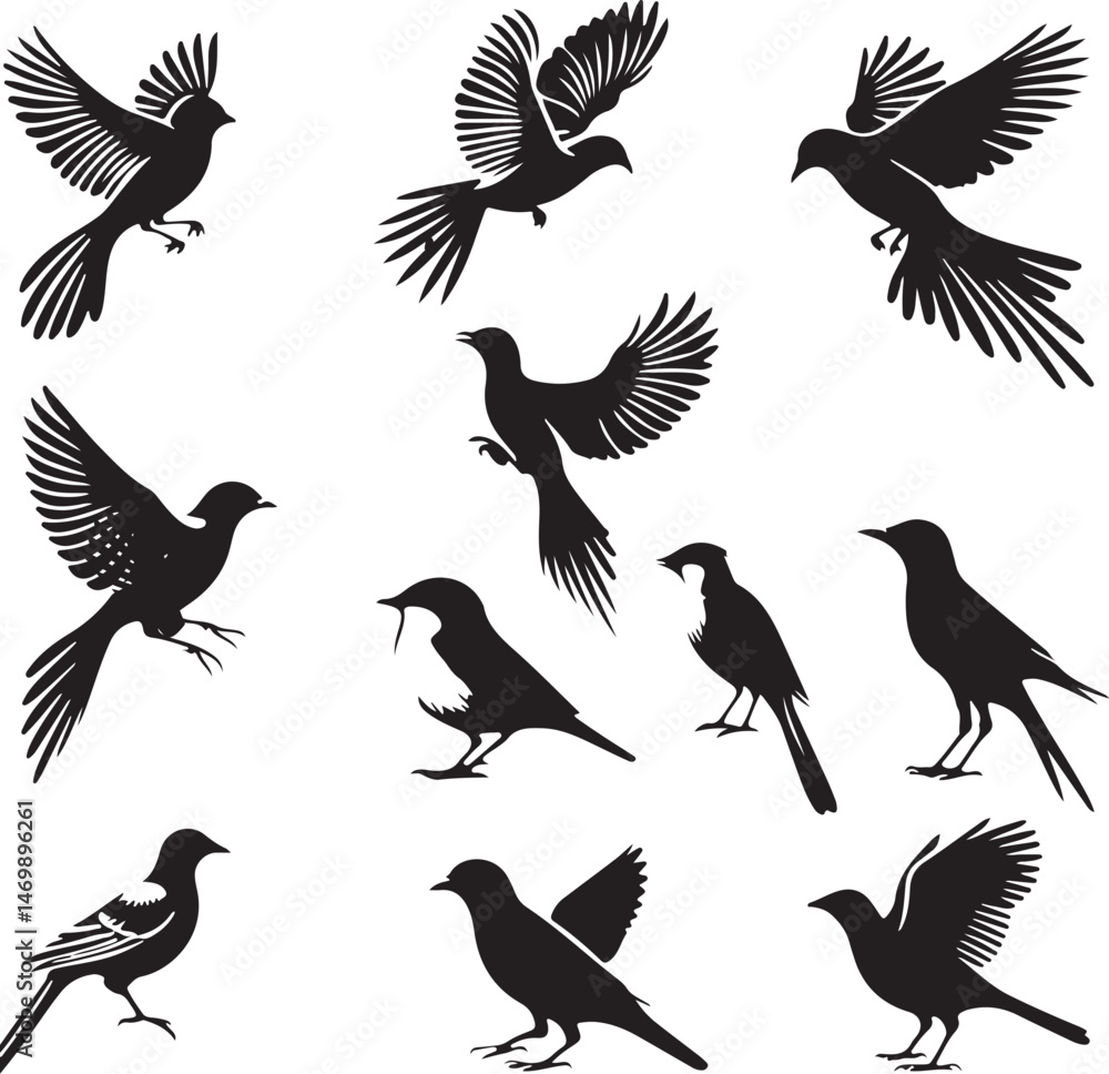 Obraz premium silhouette birds