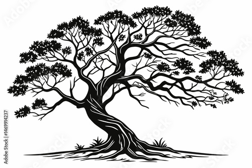 banyan tree sihouette black vector