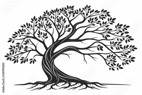 banyan tree sihouette black vector