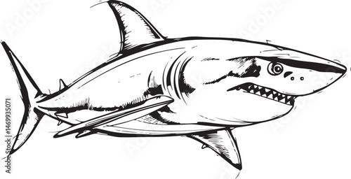 shark vector hand draw eps file
