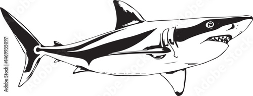 vector illustration of a black  shark