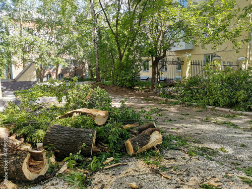 Yekaterinburg, Russia, May 2020 Cut tree trunks and fallen branches after storm cleanup in courtyard
