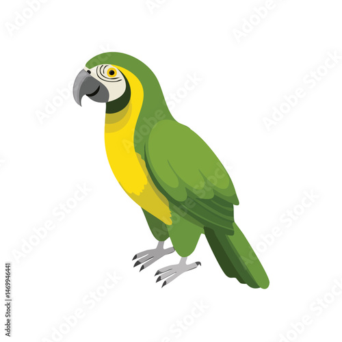 Yellow-Naped Amazon Vector Illustration with Flat Design, Clean Line Art, and Modern Minimalist AestheticArt.
