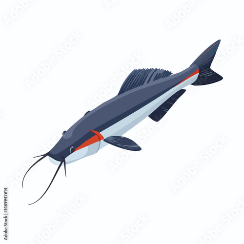 Redtail Catfish Vector Illustration with Flat Design, Clean Line Art, and Modern Minimalist AestheticArt.