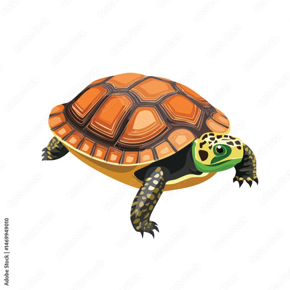 Fototapeta premium Eastern Box Turtle Vector Illustration with Flat Design, Clean Line Art, and Modern Minimalist AestheticArt.