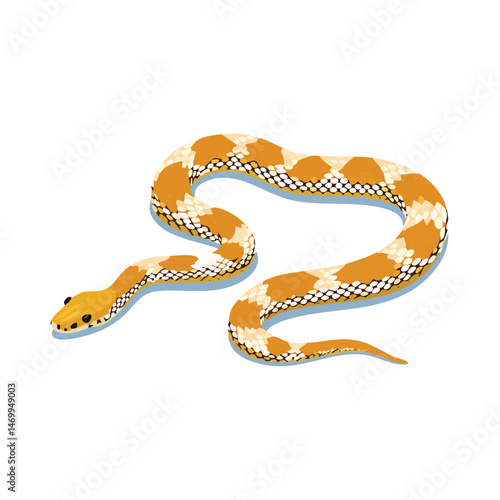 Western Hognose Snake Vector Illustration with Flat Design, Clean Line Art, and Modern Minimalist AestheticArt.